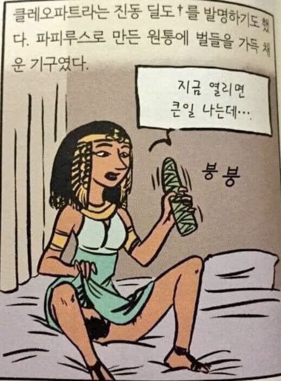 인류 최초의 진동 딜도 ㄷㄷ