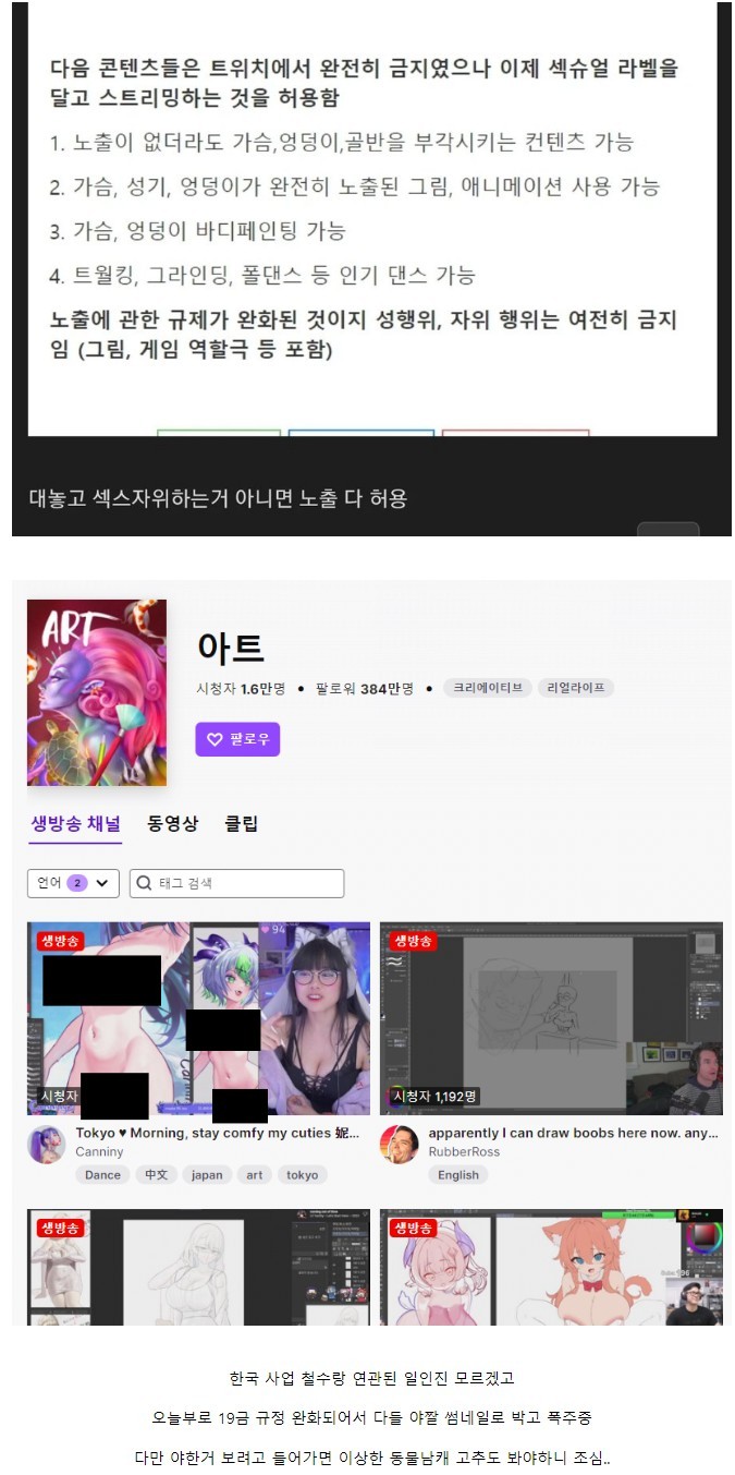 현재 야짤 규제 풀어버린 노빠꾸 트위치 상황