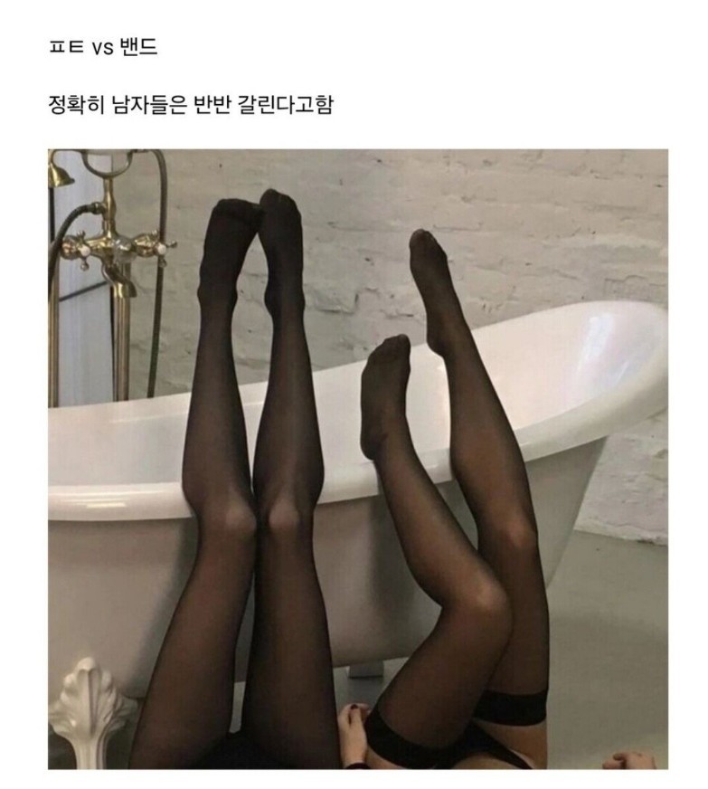 반반 갈린다는 스타킹 취향