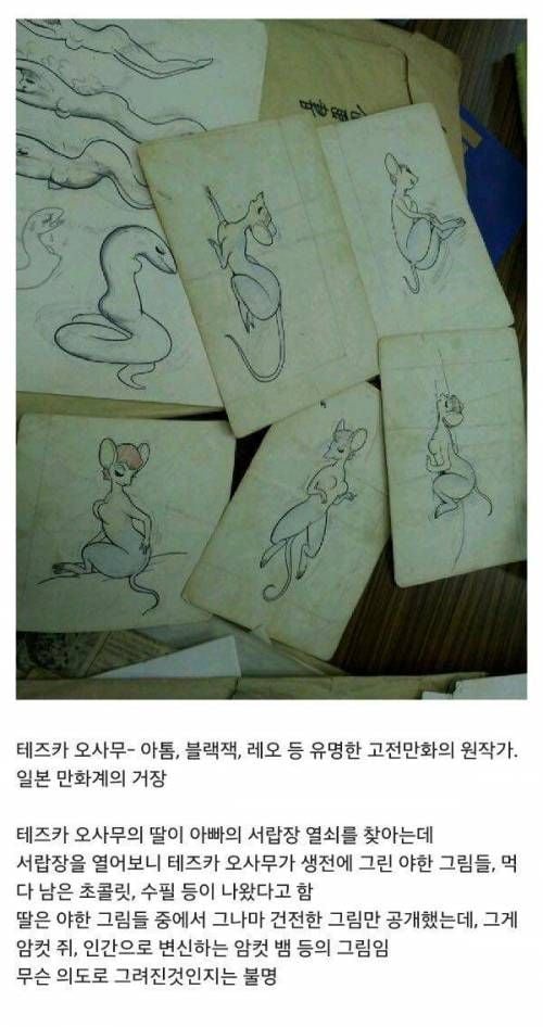 일본 만화계의 거장이 남긴 그림 ㄷㄷ