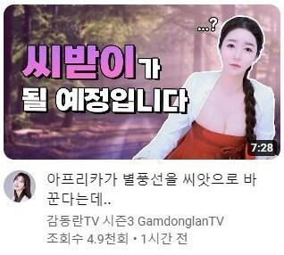 BJ 감동란 씨받이가 될 예정입니다