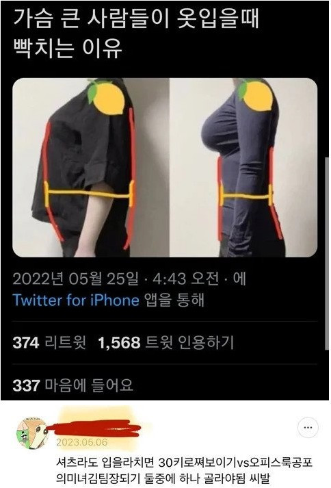 가슴 큰 여자가 옷 입을때 빡치는 이유