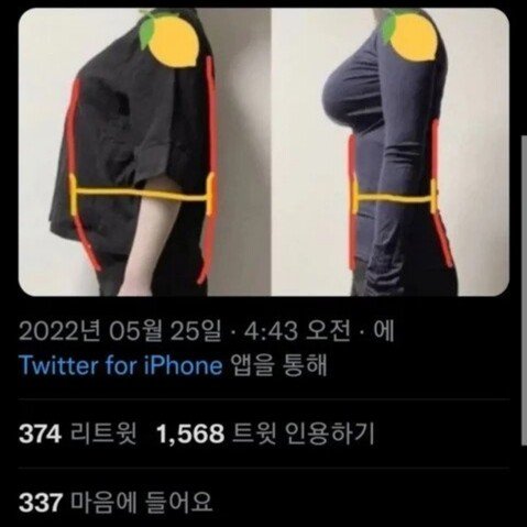 가슴 큰 여자들이 크롭티 잘 안입는 이유