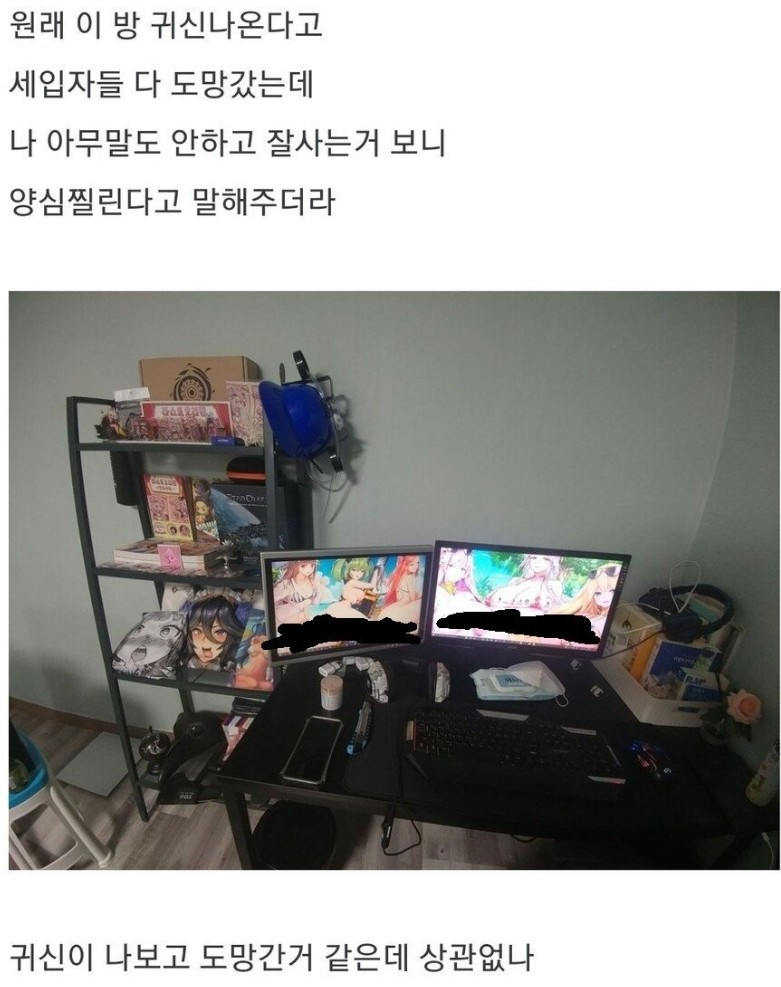 귀신 나오는 집이였다고 양심고백한 집주인