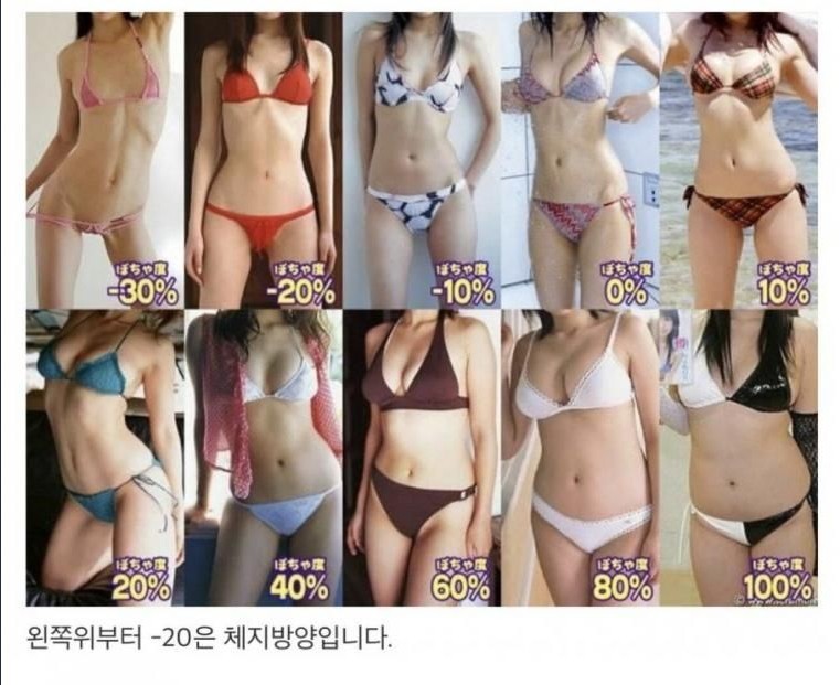 여자의 체지방률로 보는 몸매