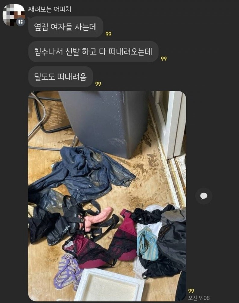 침수로 사생활 공개된 여자 대참사