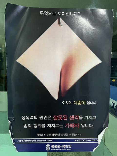 무엇으로 보이십니까