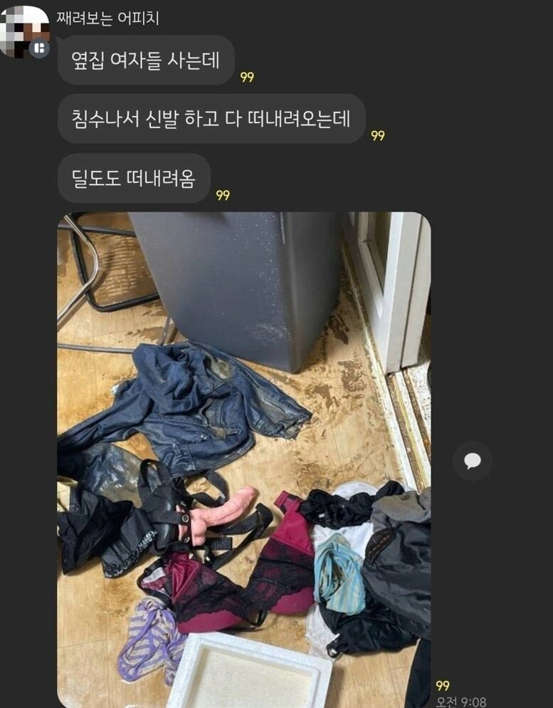 침수로 옆집 여자들 방에서 떠내려온 물건 대참사