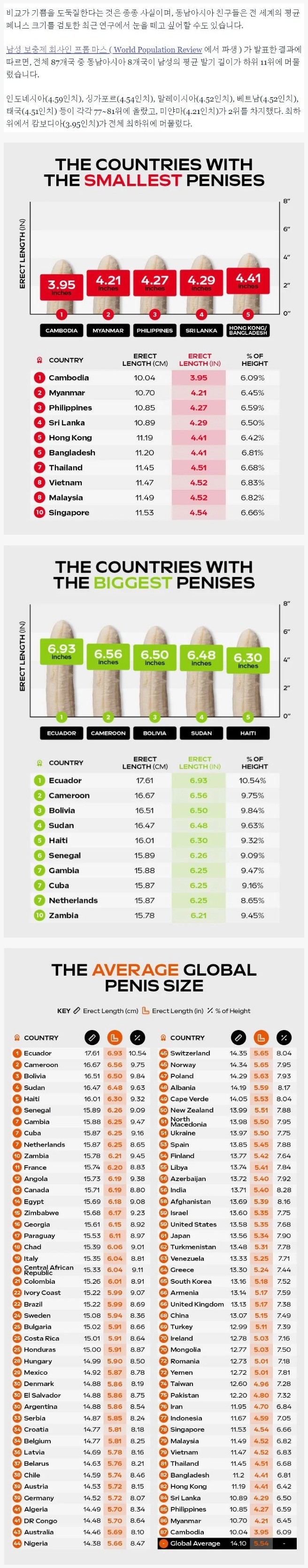 국가별 남성 성기 사이즈