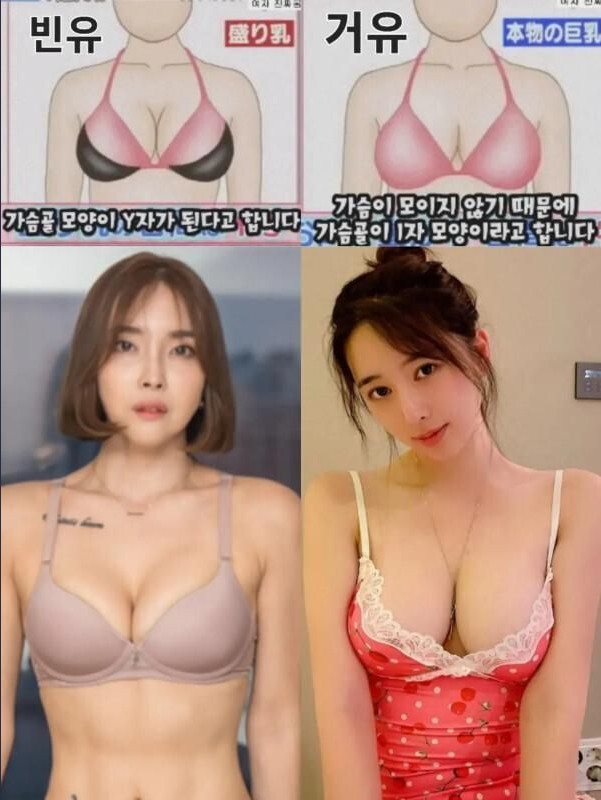 아다 필독 빈유  거유 정확히 구분하는 방법