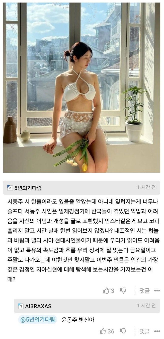 서동주 비키니 사진에 달린 댓글 레전드