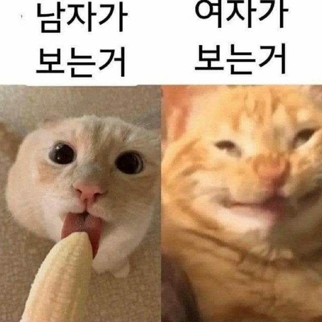 야스 할 때 남자  여자 시점 차이