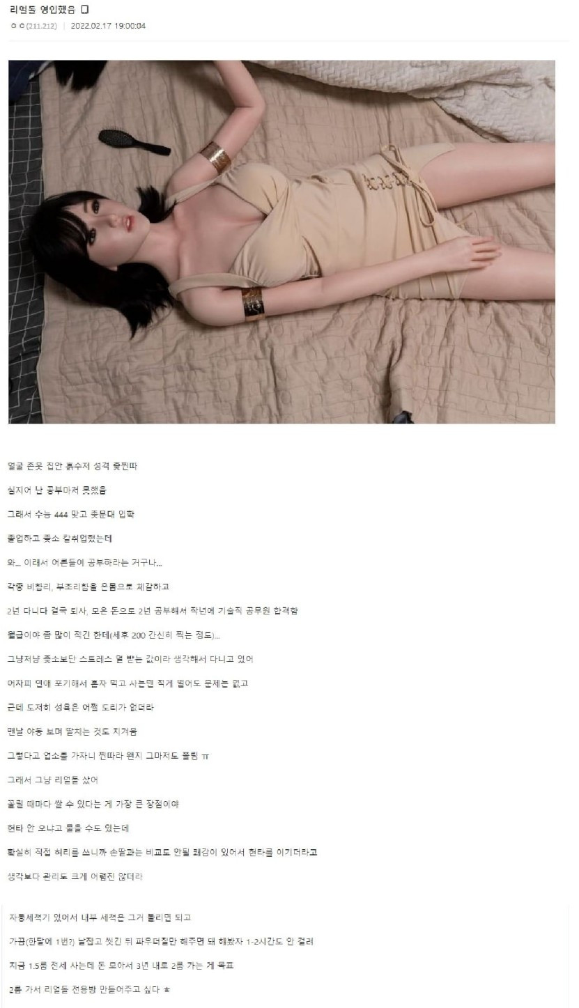 리얼돌 구매한 어느 디시인의 후기