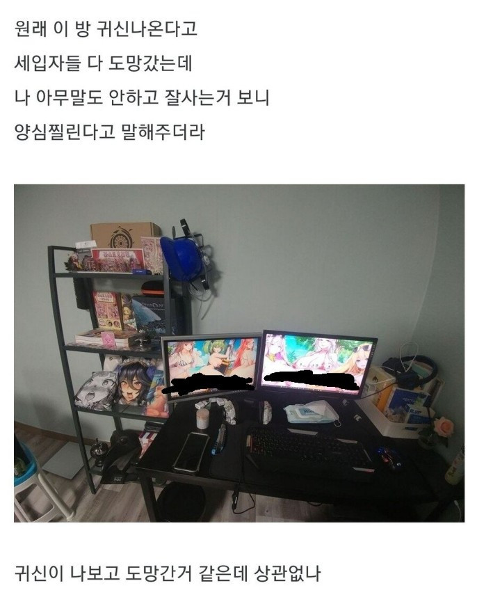 ㅇㅎ 귀신 나오는 집이였다고 양심고백한 집주인