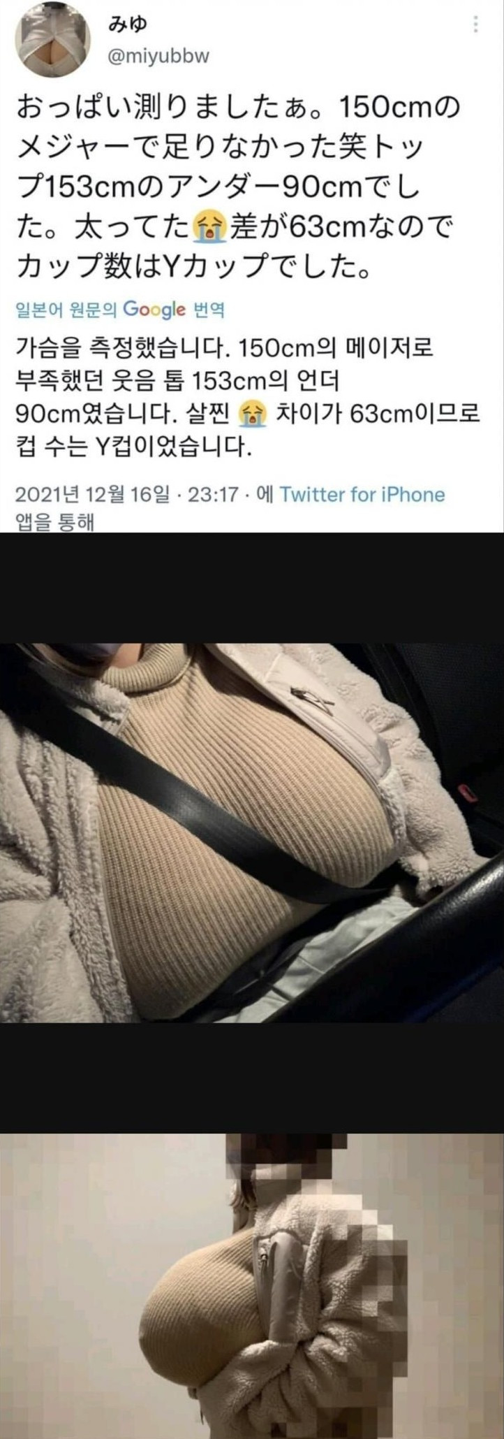 호불호 무조건 갈릴 자연산 Y컵 실물