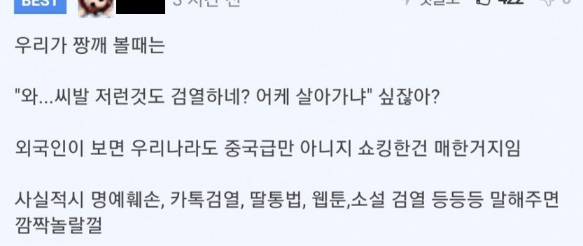 정부에서 포르노를 금지시킨 나라