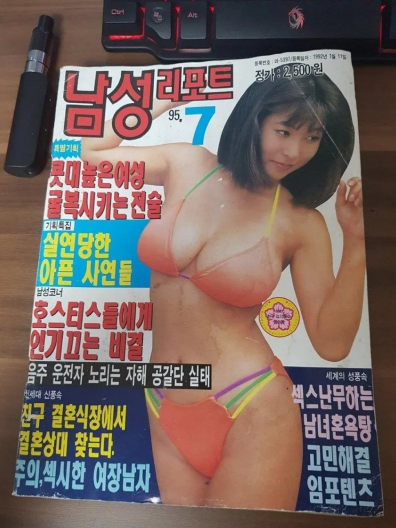 1995년 7월호 성인잡지 표지