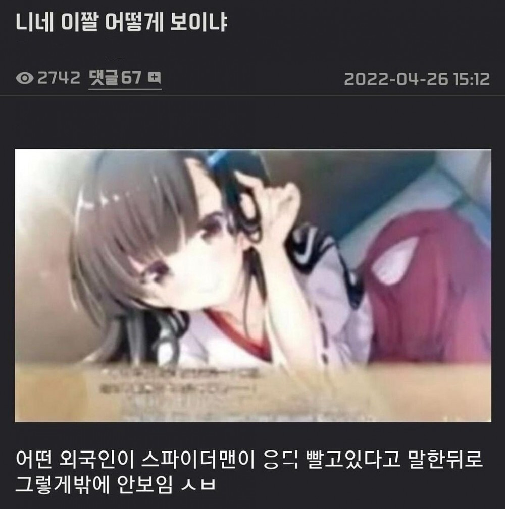 니네 이짤 어떻게 보이냐