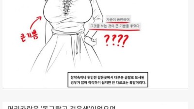 성녀 잔다르크의 실제 모습 추정