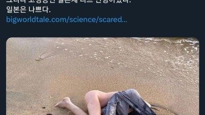 성진국 일본의 리얼돌 기술력 근황