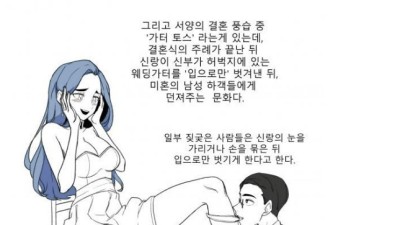 야잘알.. 가터벨트에 대한 정보