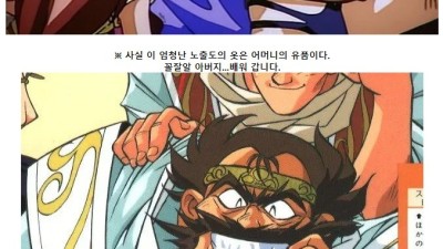 슬레이어즈 노출도 ㅈㄴ 심한 여캐가 입는 옷 정체