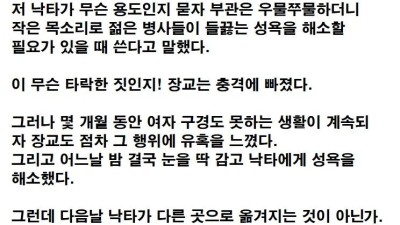 젊은 병사들의 성욕을 해소할 때 쓰는 낙타