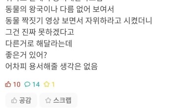 19) 여친이 바람 피다가 나한테 들킴