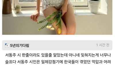 서동주 비키니 사진에 달린 댓글 레전드