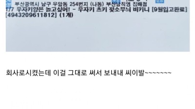 후방) 회사로 피규어를 주문했는데 분노한 이유