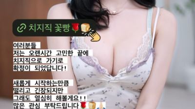 꽃빵님 치지직으로 오시네