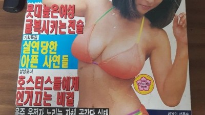 그 때 그 시절.. 95년도 성인잡지