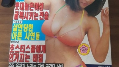 1995년 7월호 성인잡지 표지