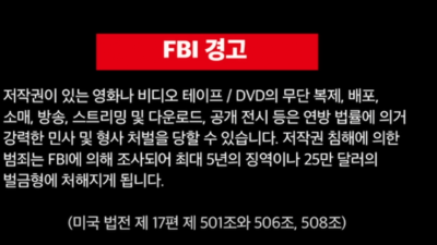 야동에 나오는 FBI 경고문의 해석본