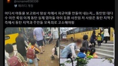 동탄 미시 피규어에 긁힌 트위터 언냐들