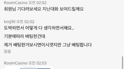 룸카지노 (roomcasino)