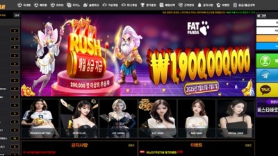 비스타 먹튀 확정