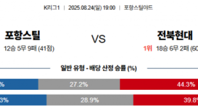 8월24일 K1리그 포항스틸 vs 전북현대