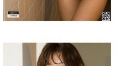 은유화 하이레그