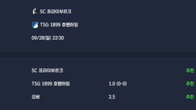 2025-09-28 [Bundesliga] SC 프라이부르크 VS TSG 1899 호펜하임 분석
