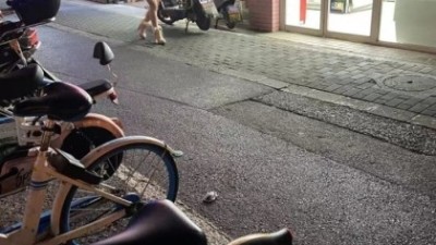 일본의 왕가슴녀