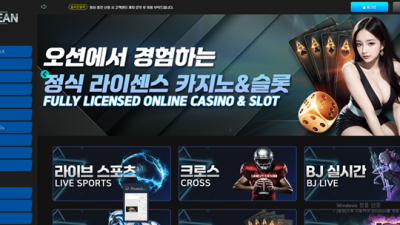 오션 먹튀 확정