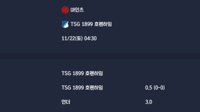 2025-11-22 [Bundesliga] 마인츠 VS TSG 1899 호펜하임 분석