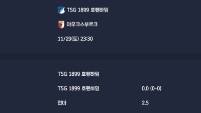 2025-11-29 [Bundesliga] TSG 1899 호펜하임 VS 아우크스부르크 분석