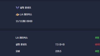 2025-11-11 [NBA] 샬럿 호넷츠 VS LA 레이커스 분석