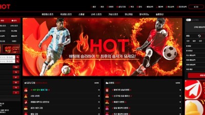 hot 먹튀 확정