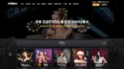 tower 먹튀 확정