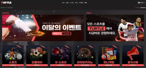 터틀벳 먹튀 검증 결과입니다.