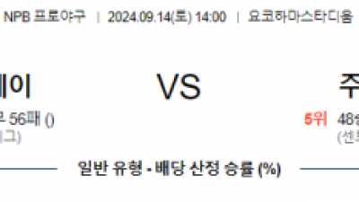 9월 14일 14:00 NPB 요코하마 주니치 한일야구분석 스포츠분석