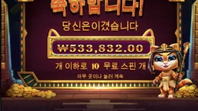 약빨 떨어진 고양이ㅠㅠ
